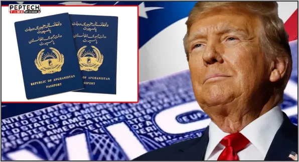 international international